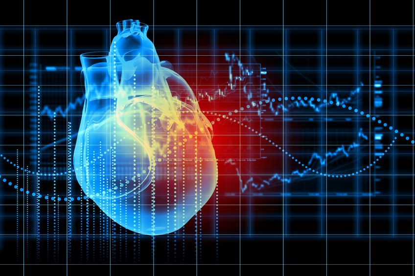 Quercetina y la salud cardiovascular 